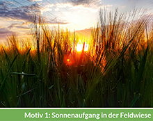 Motiv 1: Sonnenaufgang in der Feldwiese