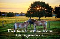 InCollage_20250827_200114686_resized_20250827_080133580