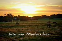 InCollage_20250827_200754455_resized_20250827_080816235