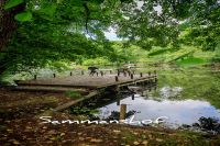 InCollage_20250827_201147453