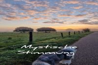 InCollage_20250828_165216148