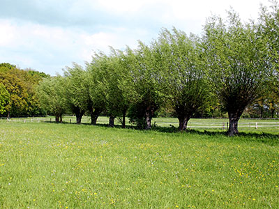 Niederrhein, Freizeit am Niederrhein, Hotels am Niederrhein