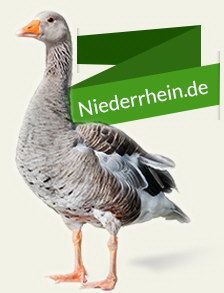 Niederrhein Gans, Freizeit am Niederrhein, Hotel am Niederrhein